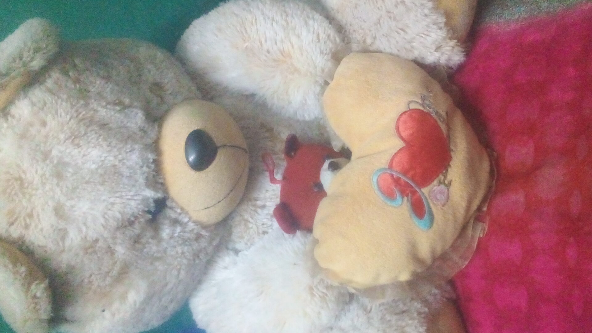 Toy