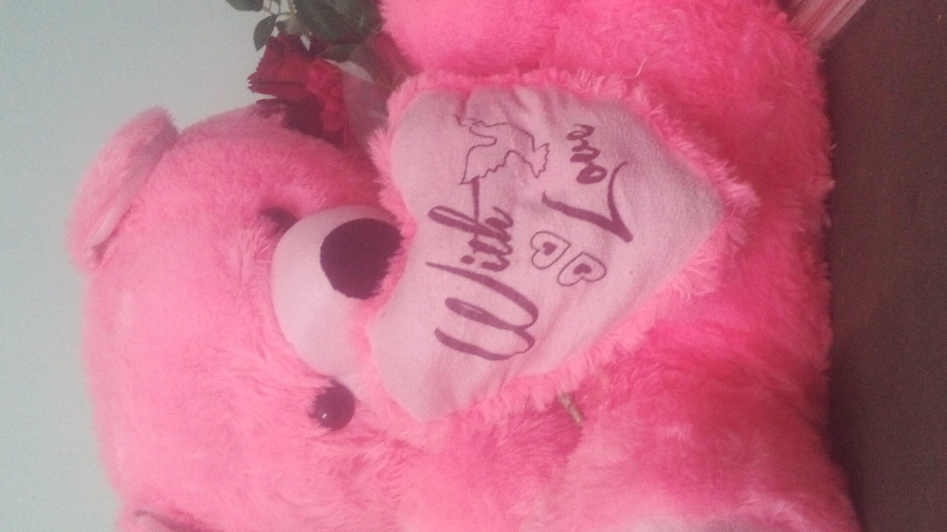 Taddy
