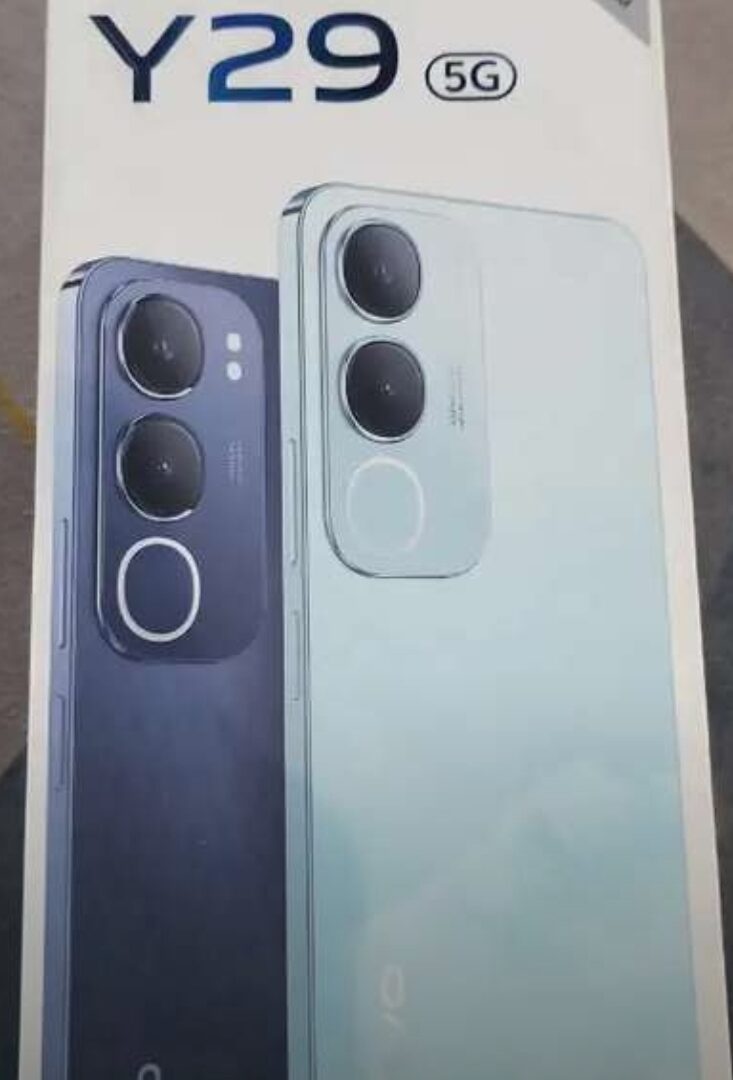 Vivo y29