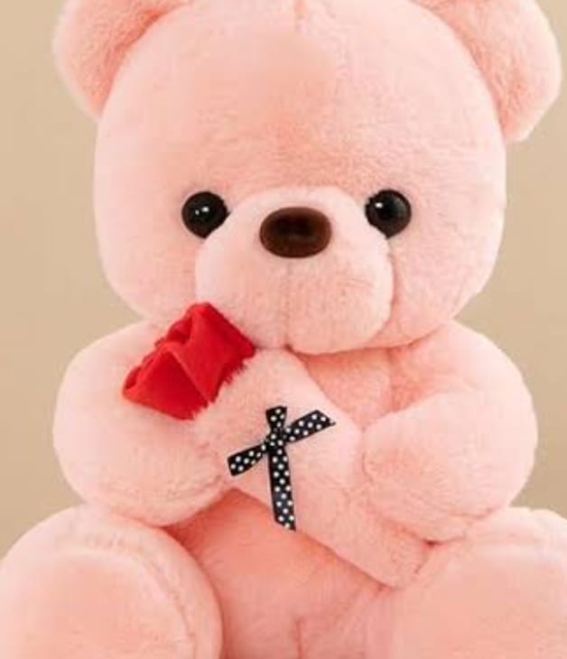 Teddy
