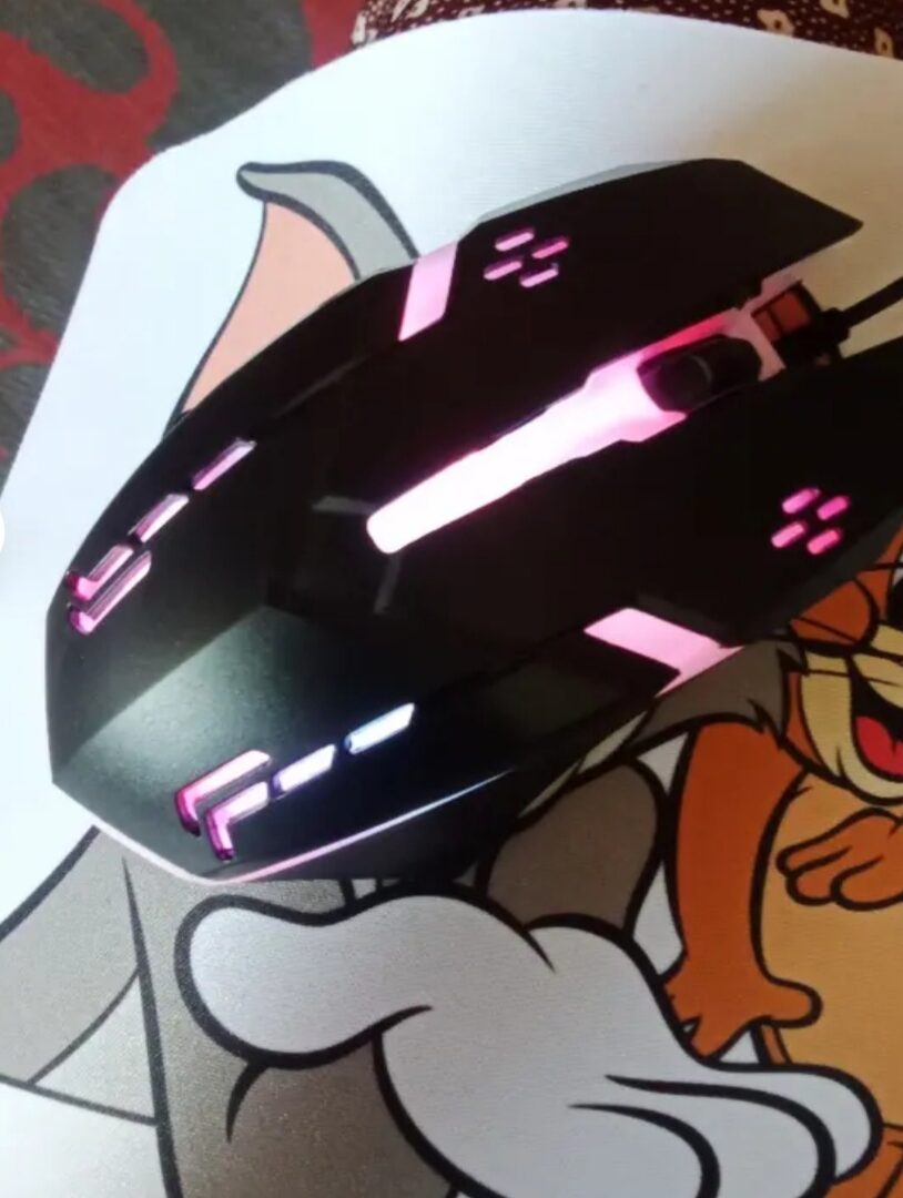 Mouse