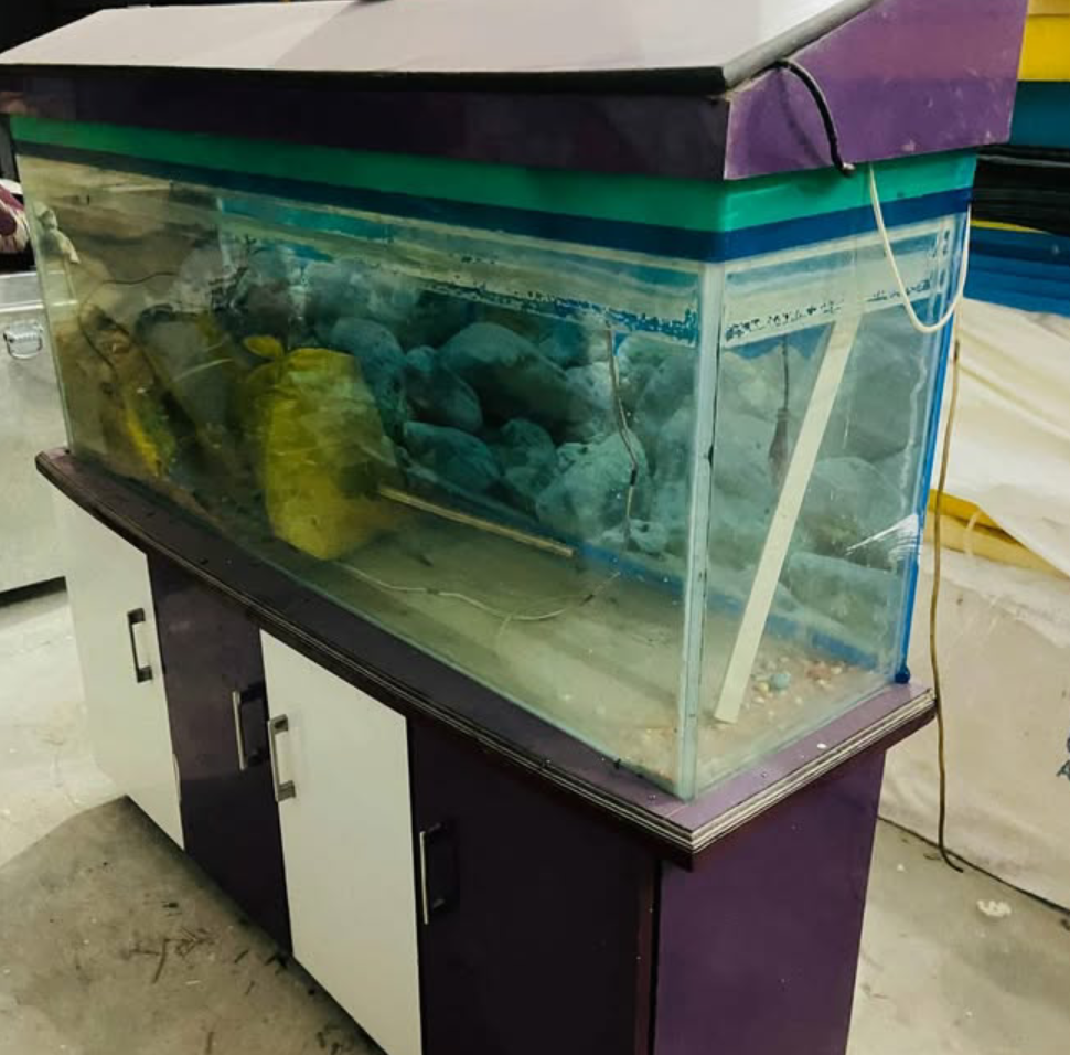 Big aquarium