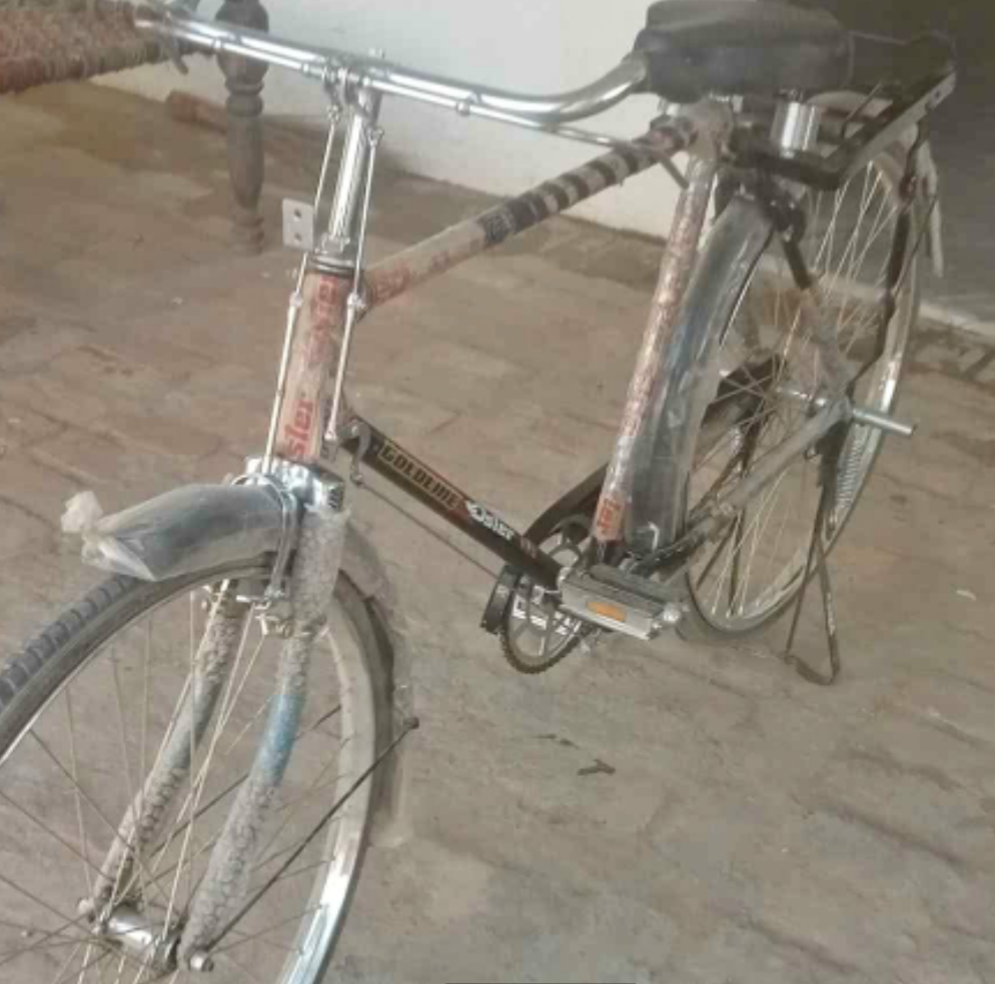 Goldline oster cycle