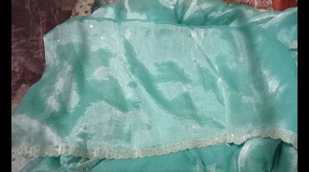 Jimmy Choo sari