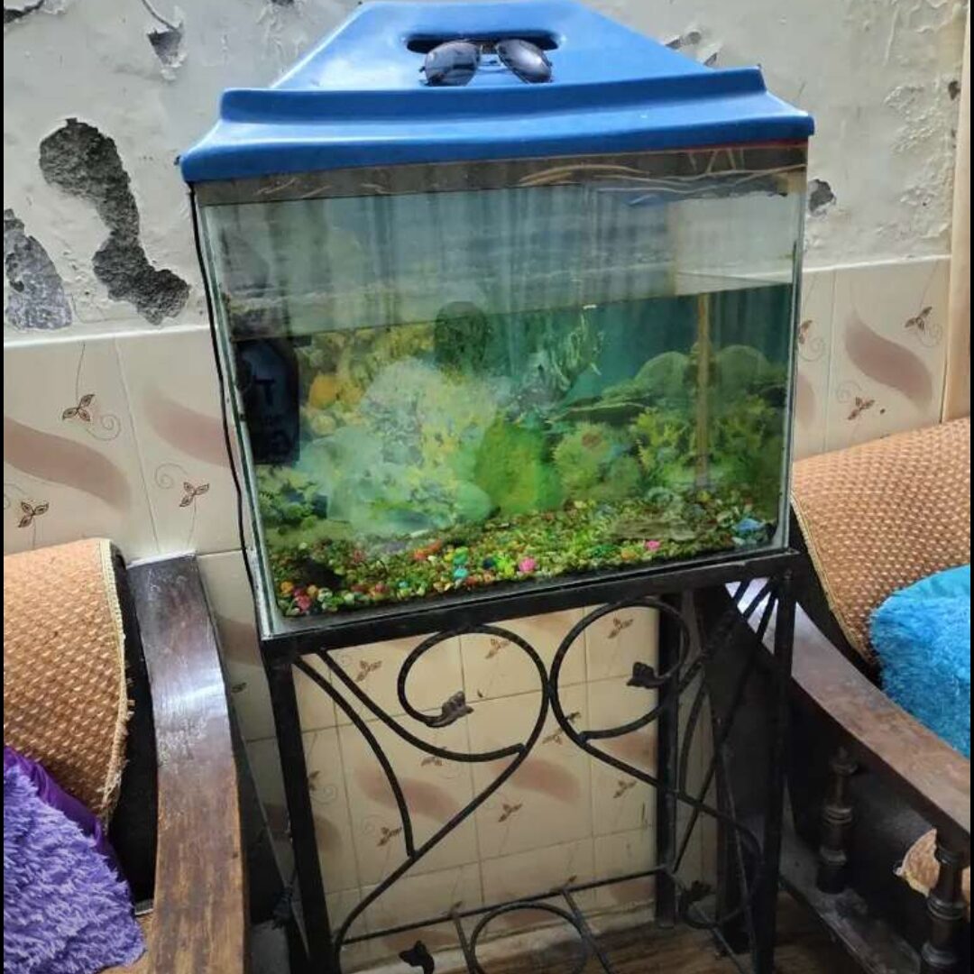 Aquarium