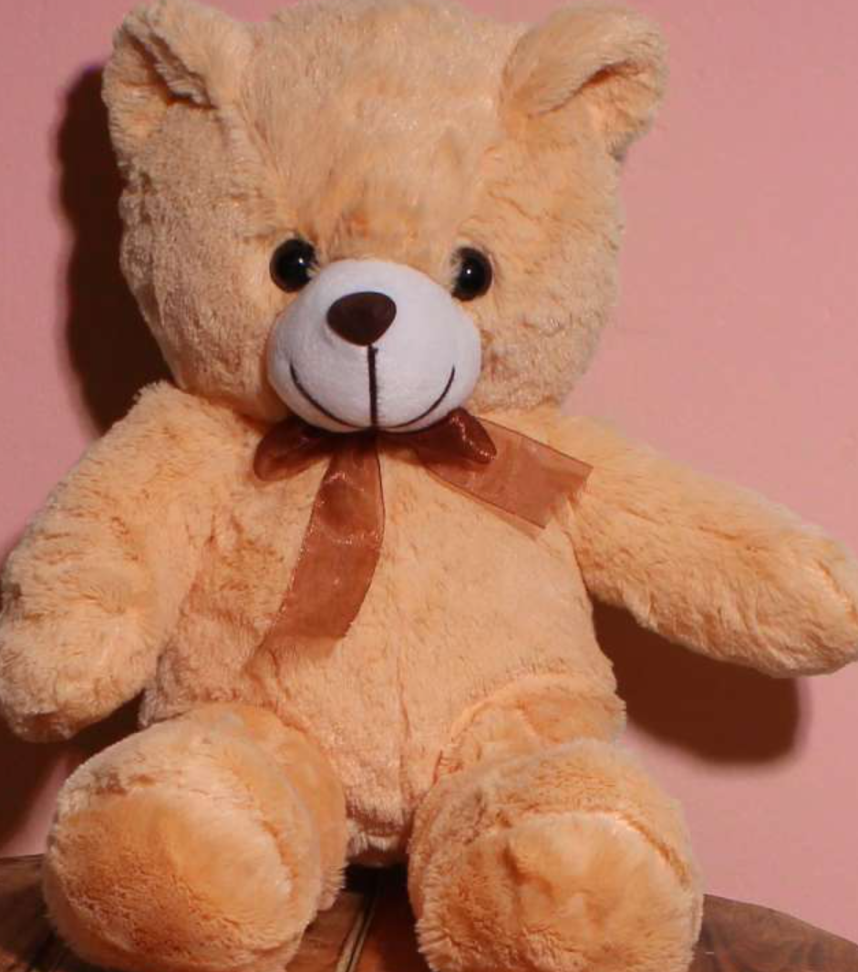 Teddy