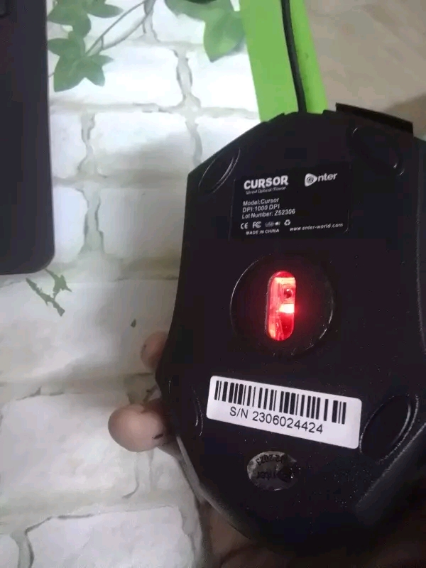 Mouse