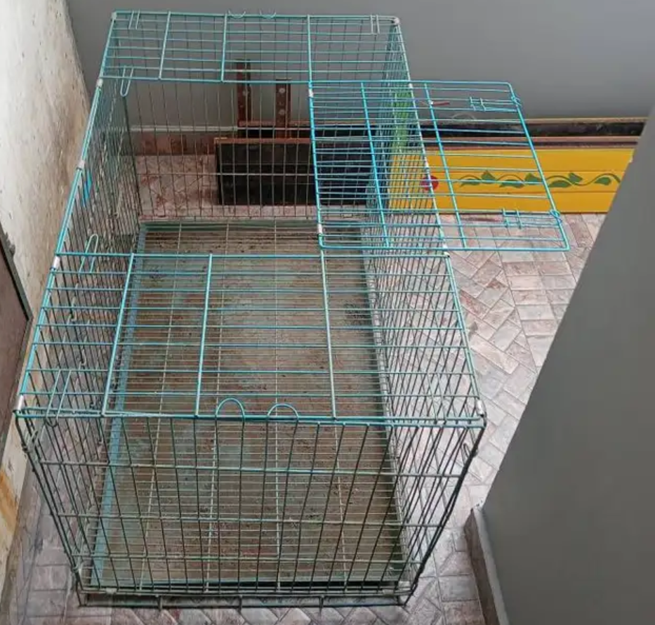 Dog pinjra box