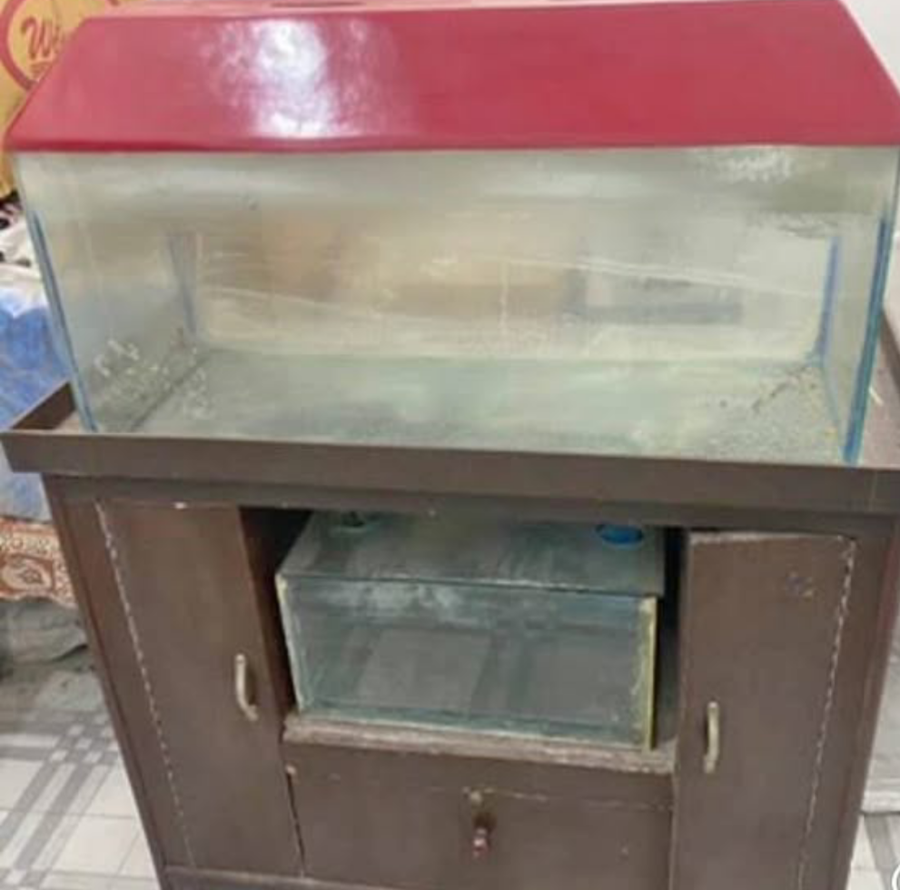 Fish aquarium with trolley
