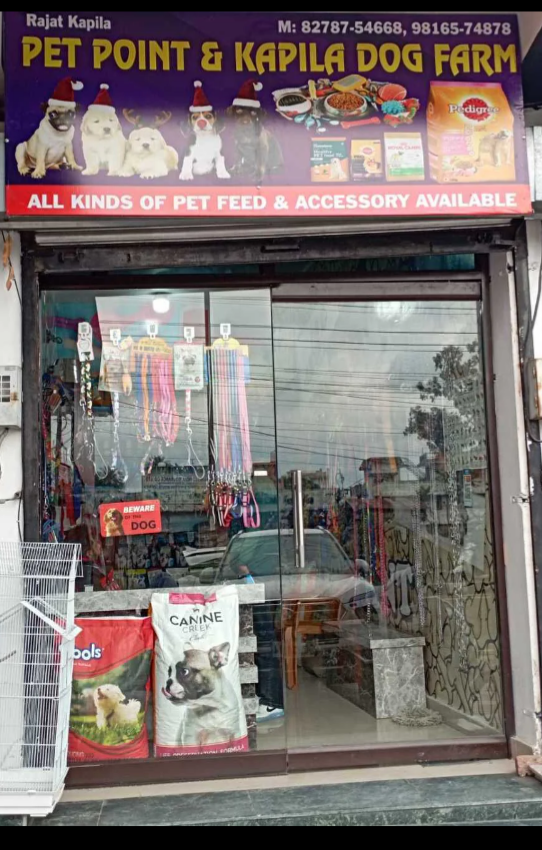 Pet feed & accessory