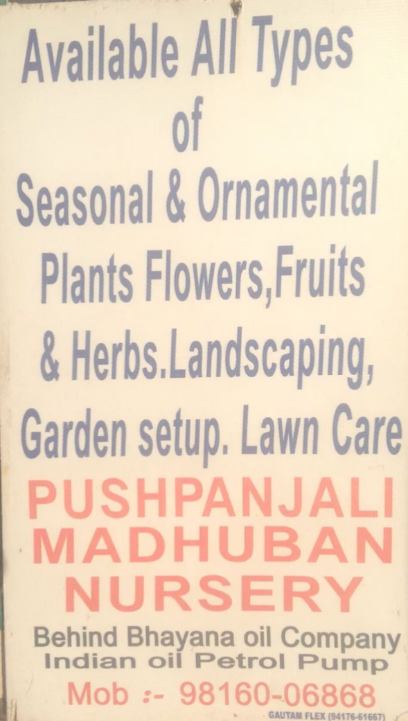 All types of plants and flowers