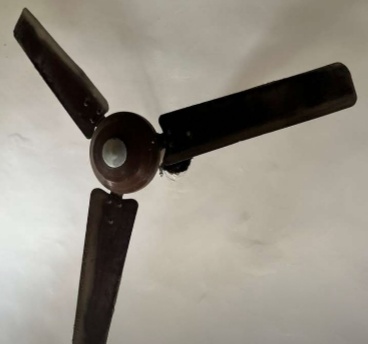 Fan
