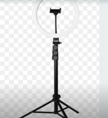 Ringlighsmalsize