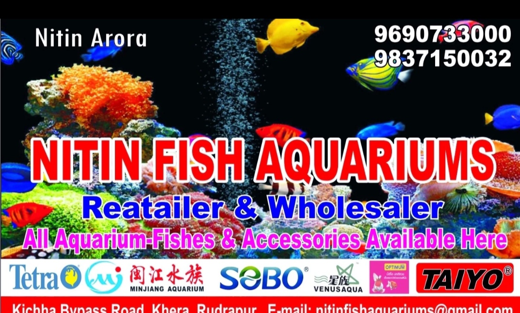 Aquarium shop