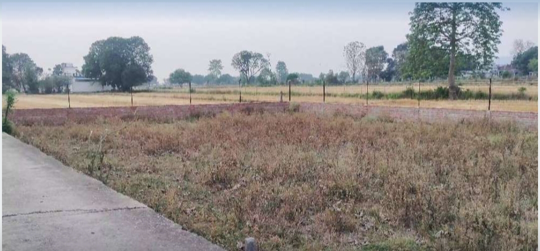 1 bigha property for sale