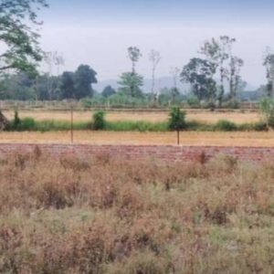1 bigha property for sale