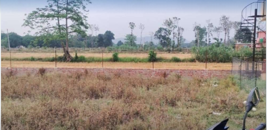 1 bigha property for sale