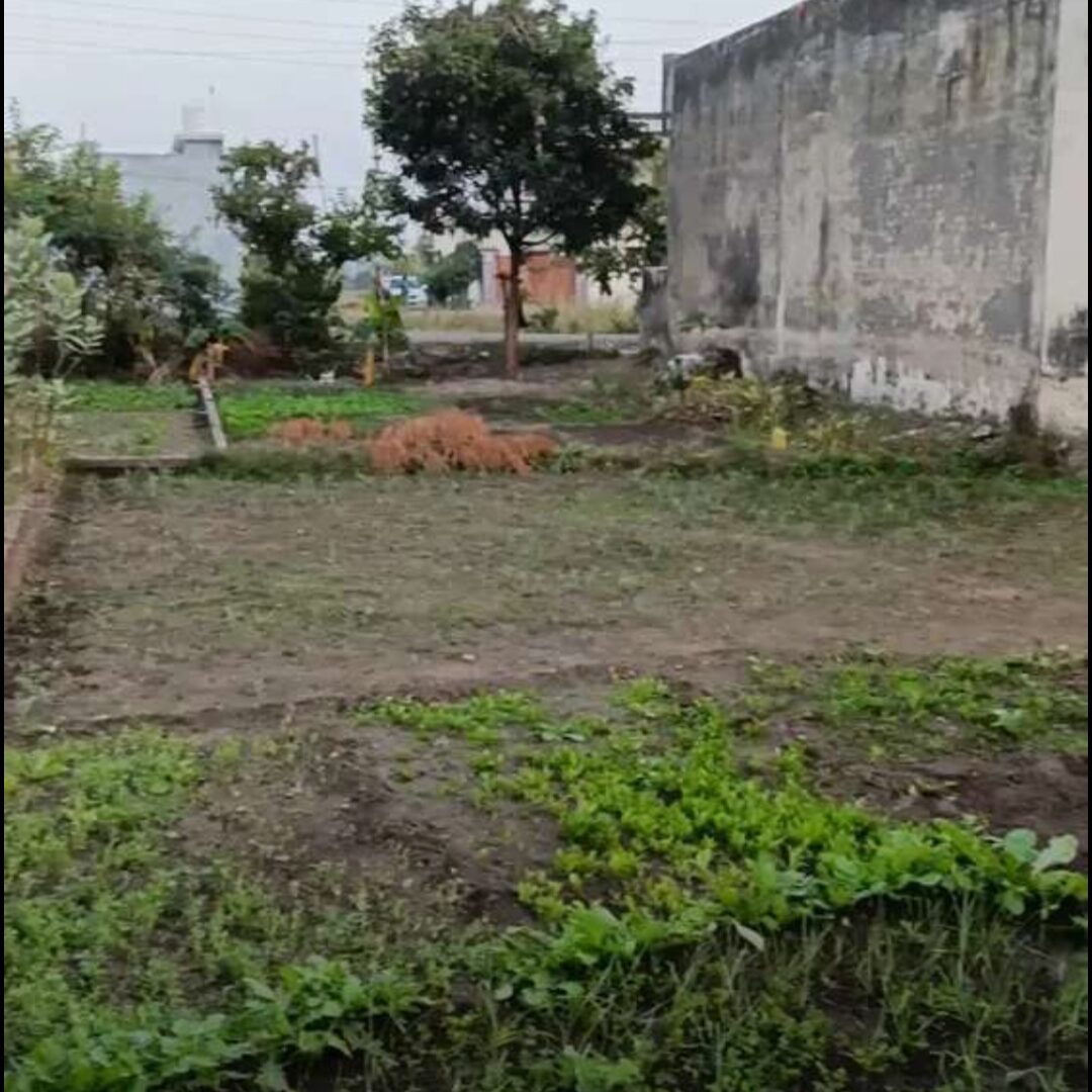 Sale property