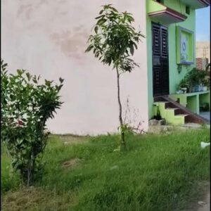 Sale property