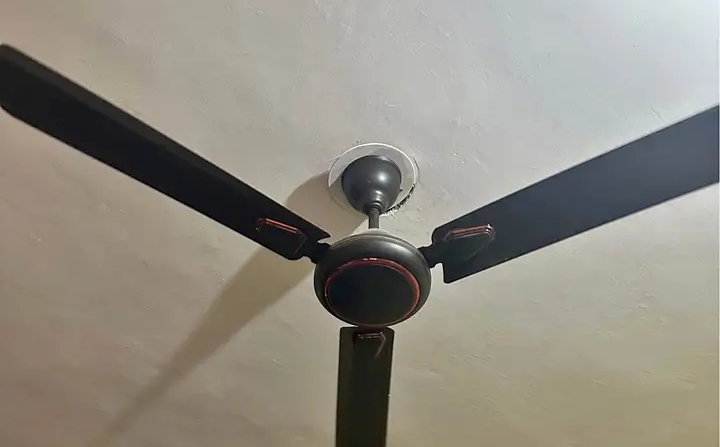 Black colour fan