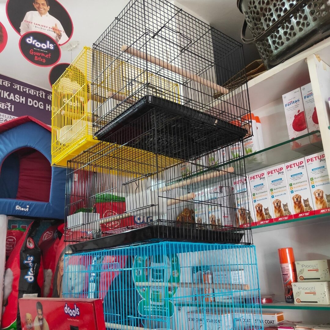 Bird cage