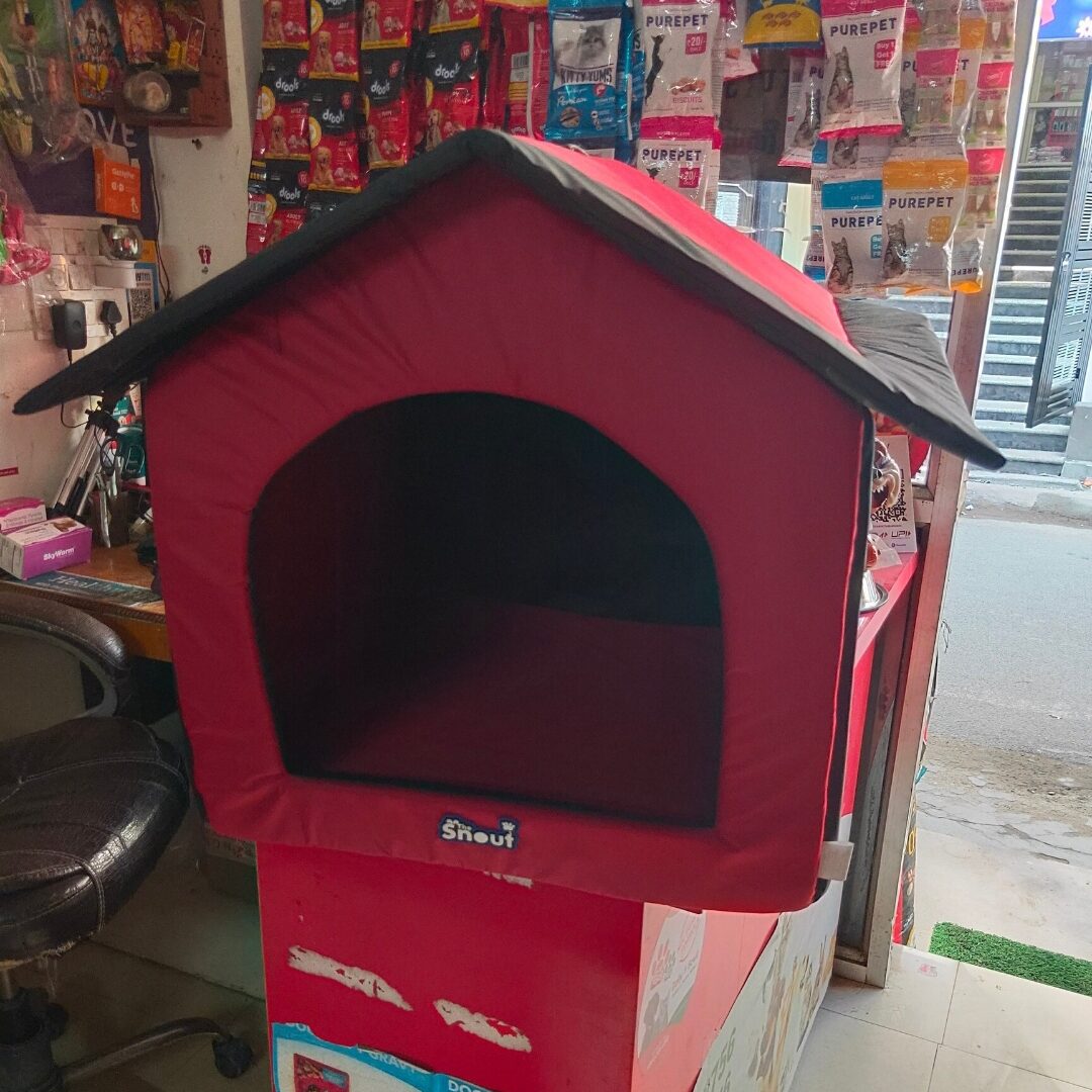 Dog house
