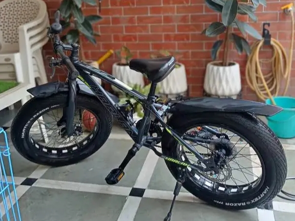 Cycle