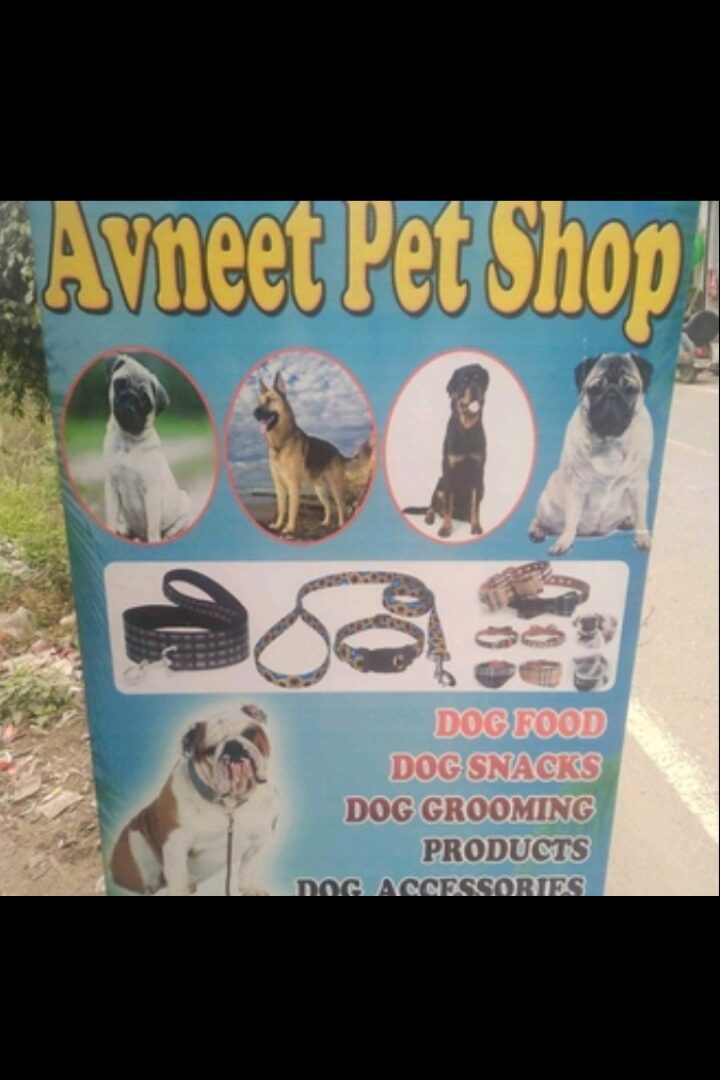 Pet shop