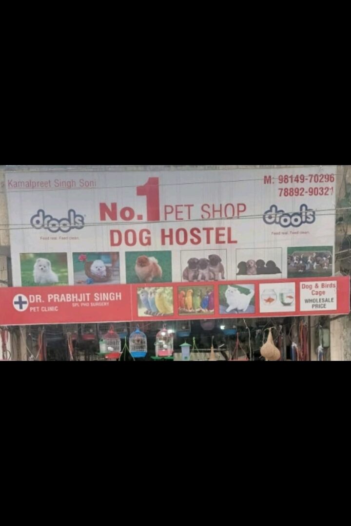 Dog house
