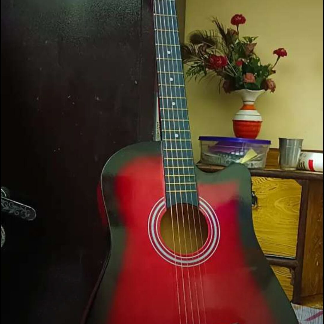 Guitar
