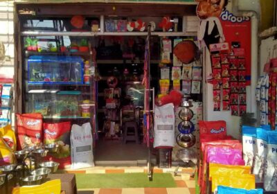 johari-pet-shop-and-fish-aquarium-kichha-udham-singh-nagar-pet-shops-for-birds-fsihp87zpj-2