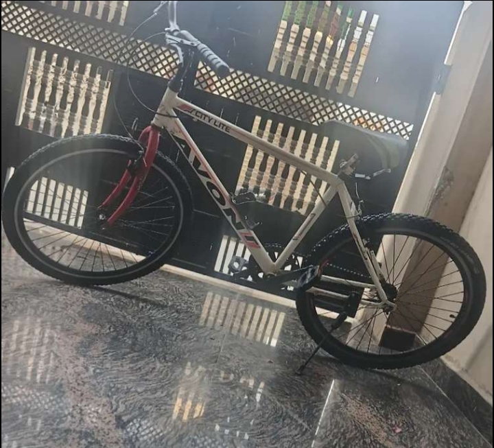 Avon cycle