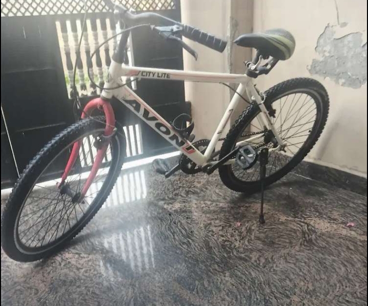 Avon cycle