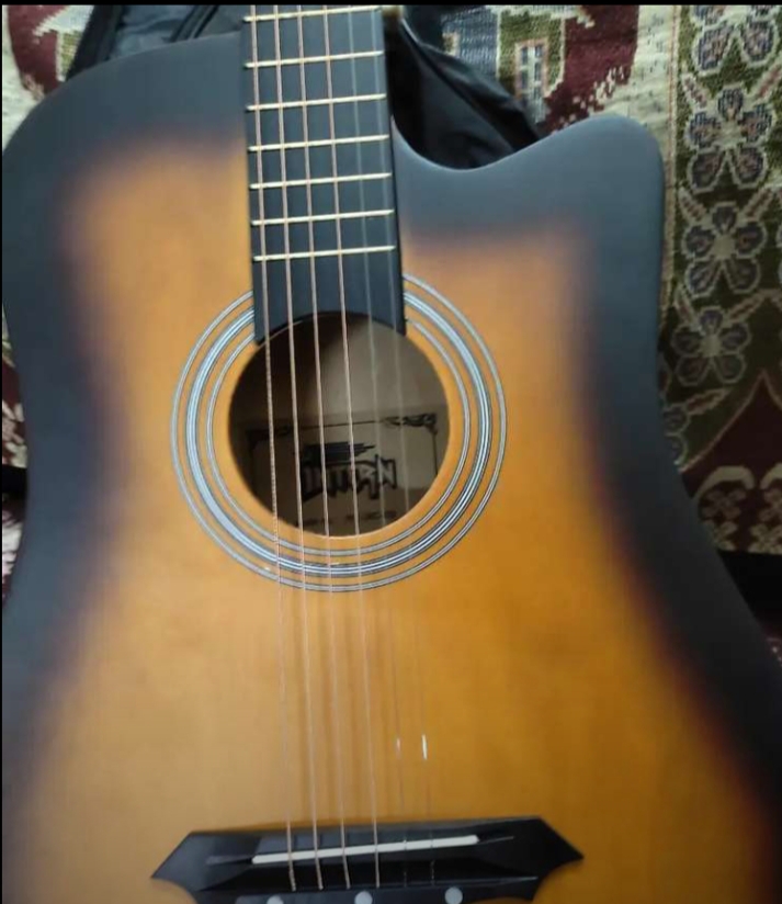 Guitar