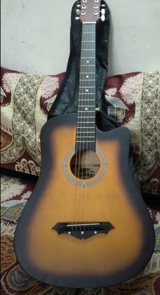 Guitar