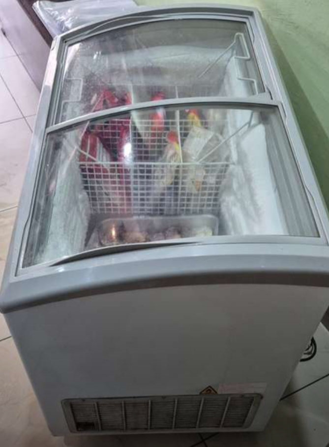 D fridge