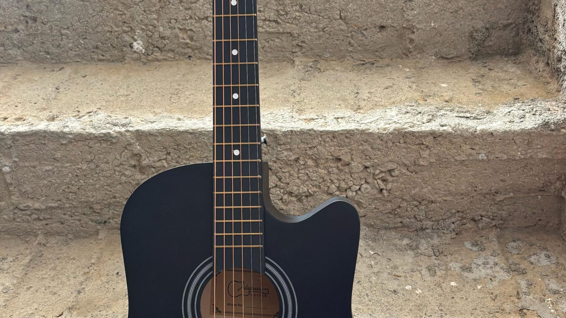 Guitar