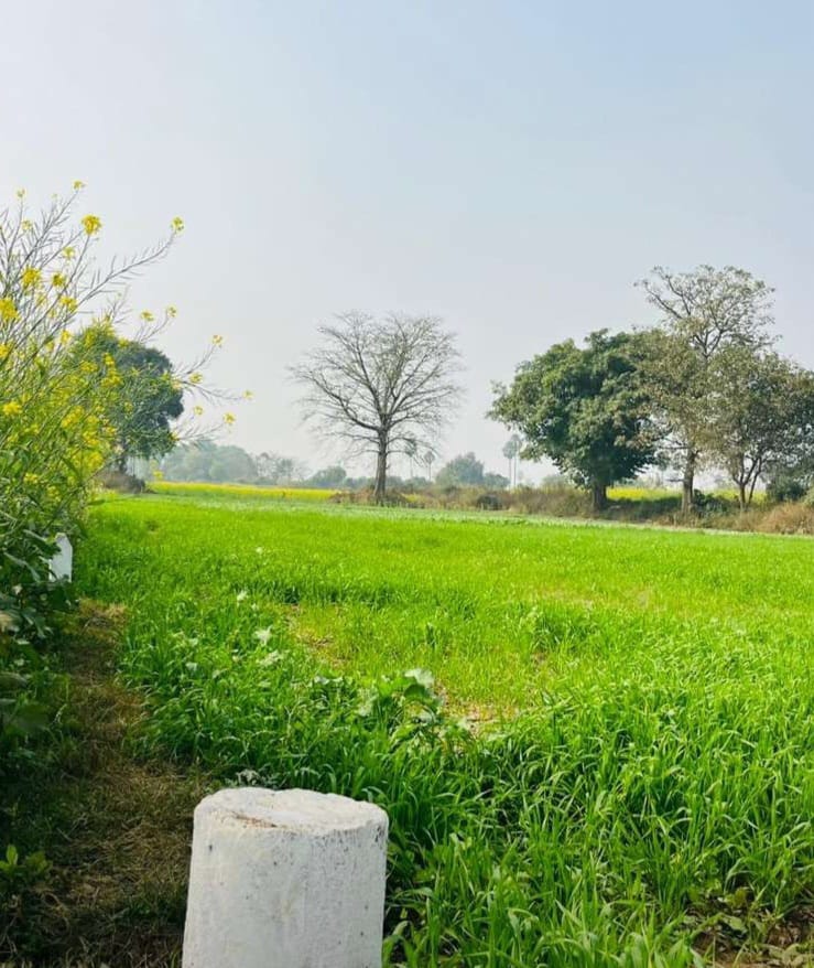 Plot for sale