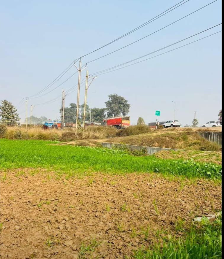 Plot for sale