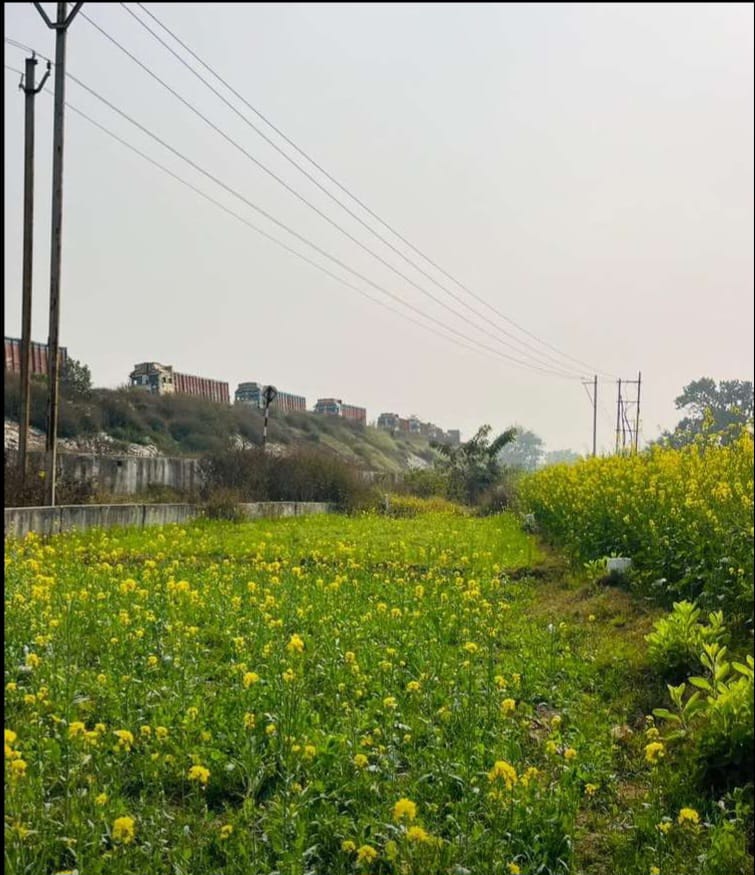 Plot for sale