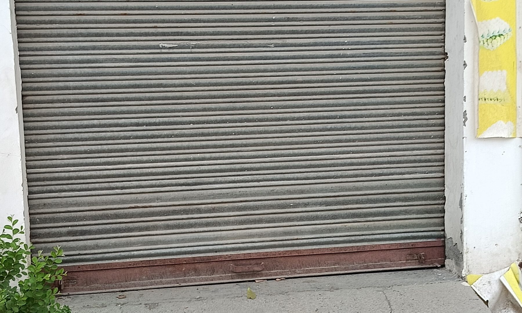 Shop for rent