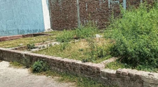 Plots sell