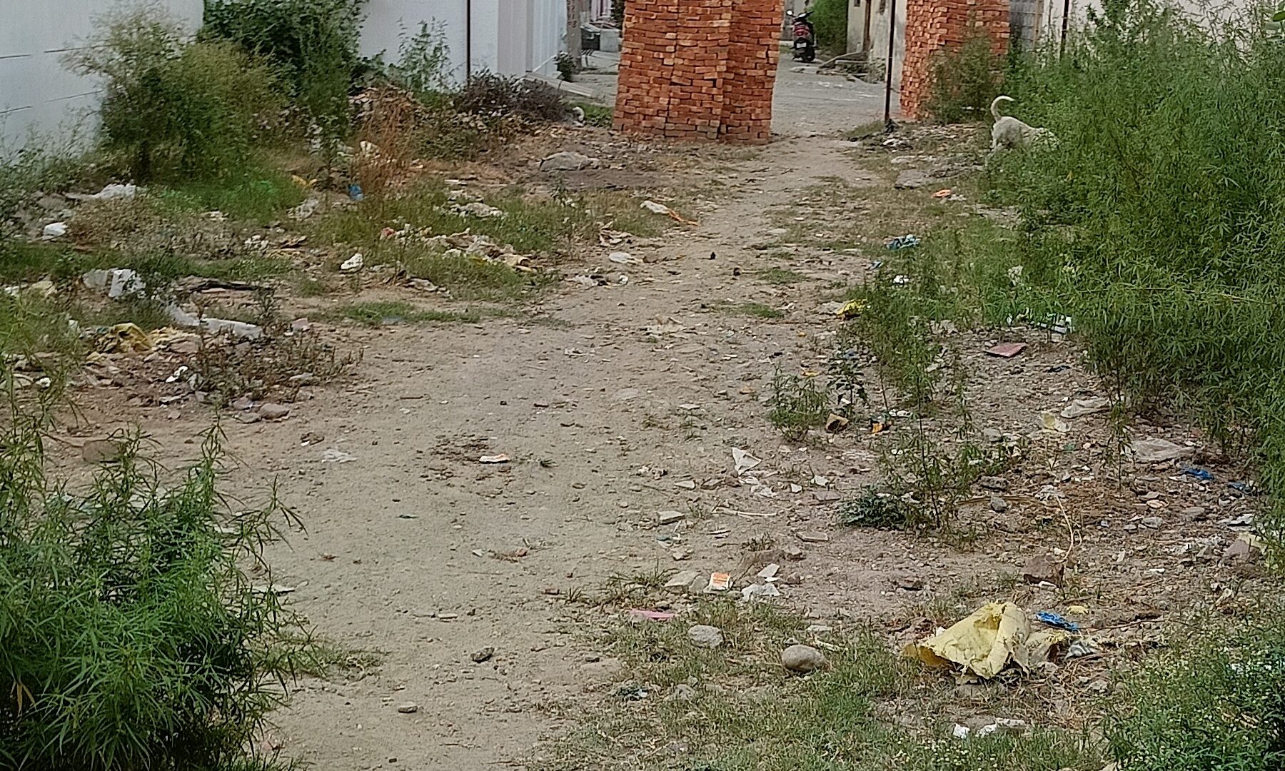 plot for sale