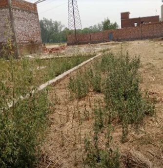 Plot for sale