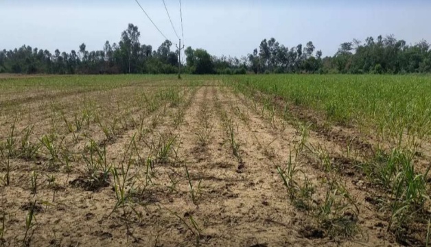 Plots sale