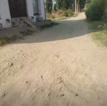 Plot sale