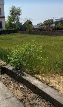 Plot sale