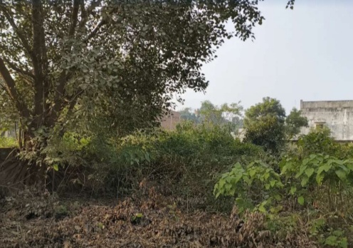 Plot for sale