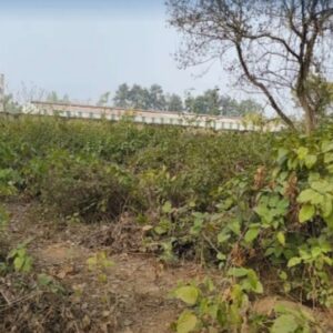 Plot for sale