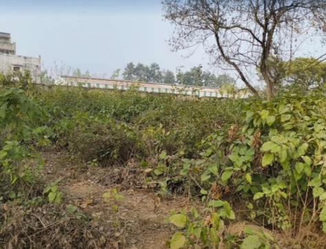 Plot for sale